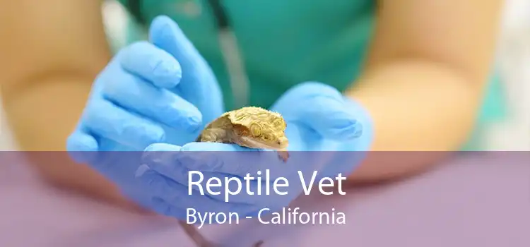 Reptile Vet Byron - California