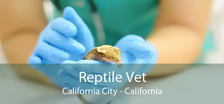 Reptile Vet California City - California