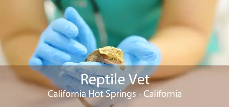 Reptile Vet California Hot Springs - California