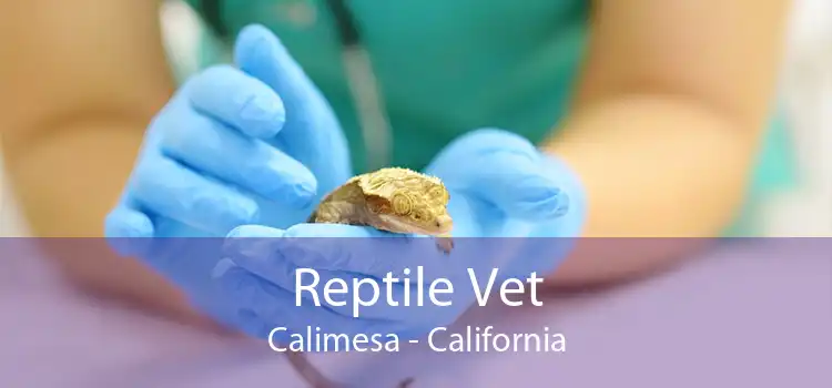 Reptile Vet Calimesa - California