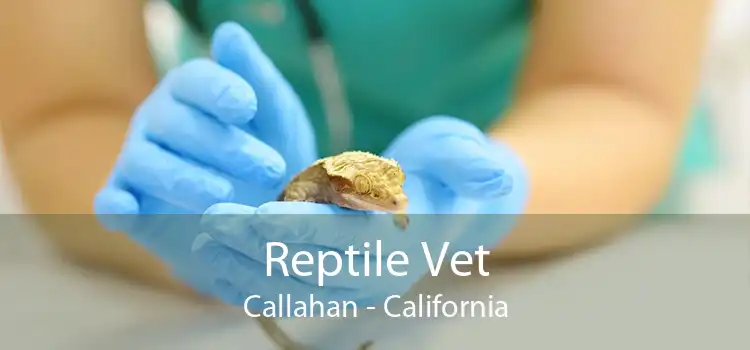 Reptile Vet Callahan - California