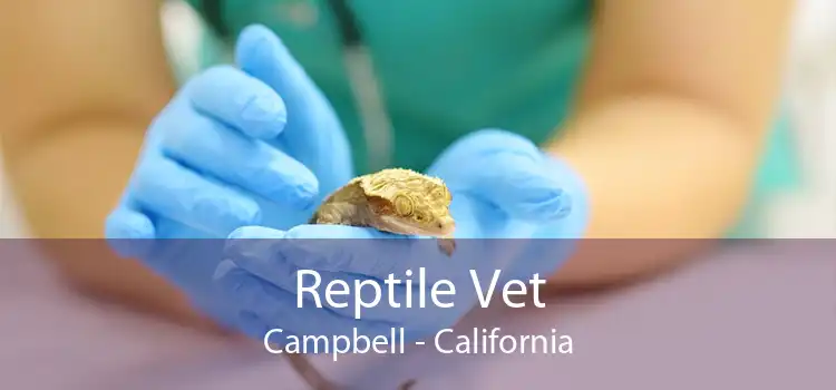 Reptile Vet Campbell - California