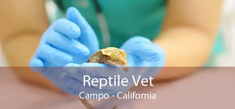 Reptile Vet Campo - California