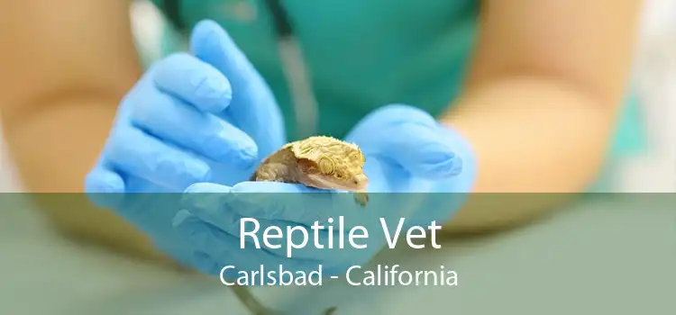 Reptile Vet Carlsbad - California