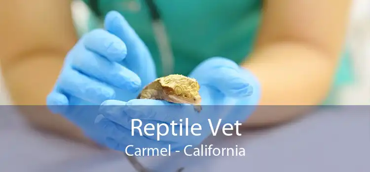 Reptile Vet Carmel - California