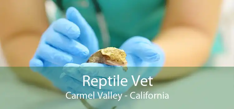 Reptile Vet Carmel Valley - California