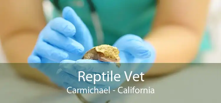 Reptile Vet Carmichael - California