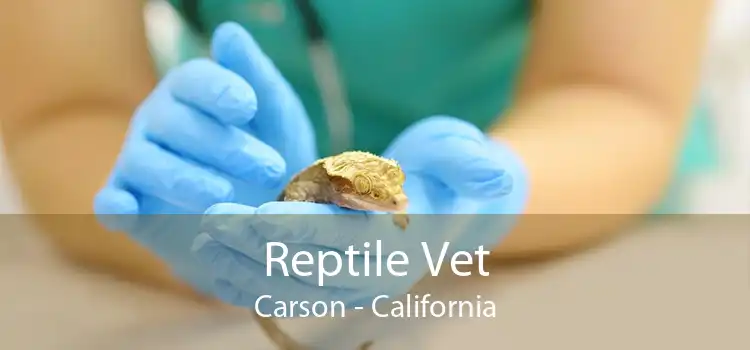 Reptile Vet Carson - California