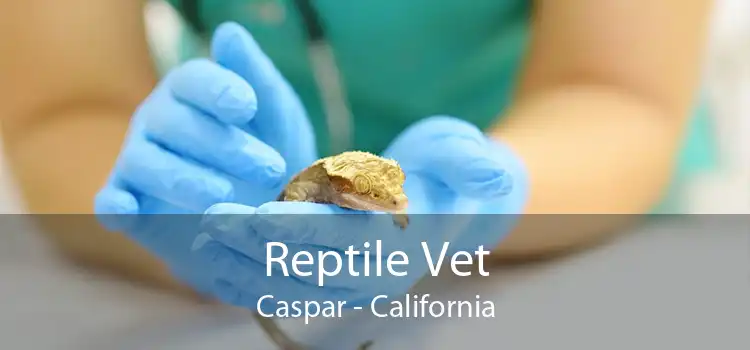 Reptile Vet Caspar - California