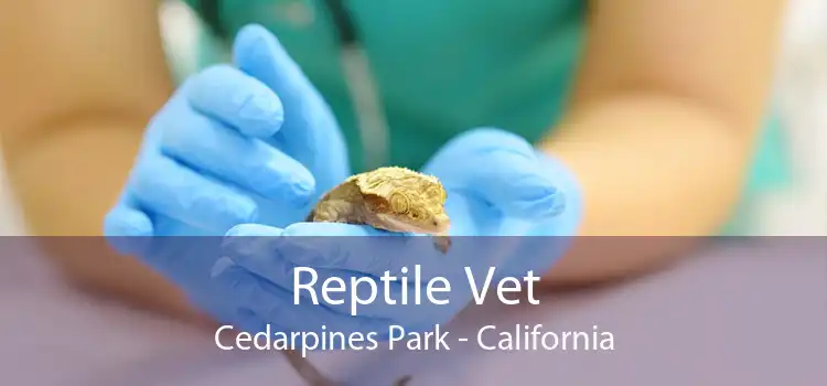 Reptile Vet Cedarpines Park - California