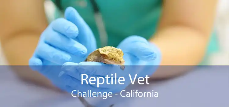 Reptile Vet Challenge - California