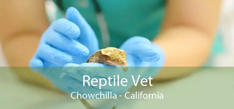 Reptile Vet Chowchilla - California