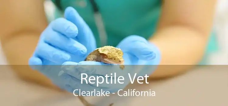 Reptile Vet Clearlake - California