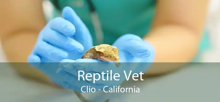 Reptile Vet Clio - California