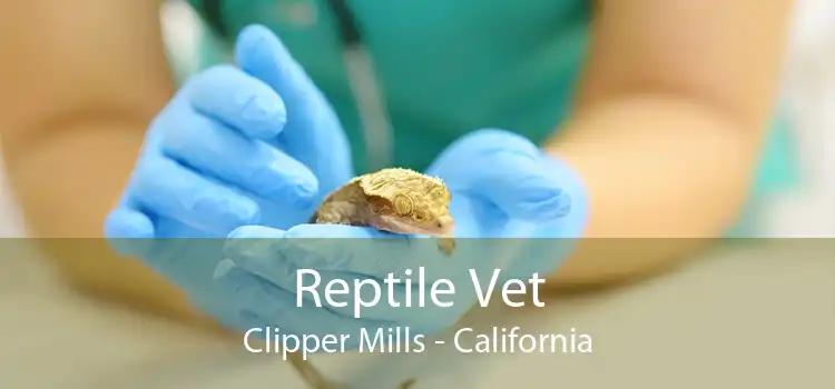 Reptile Vet Clipper Mills - California