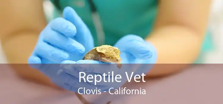 Reptile Vet Clovis - California