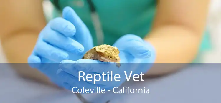 Reptile Vet Coleville - California