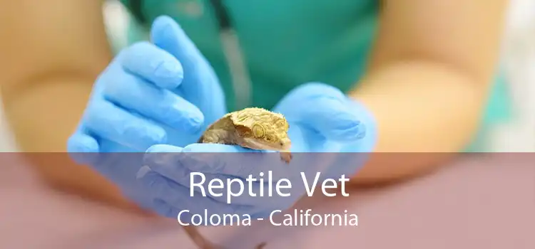 Reptile Vet Coloma - California