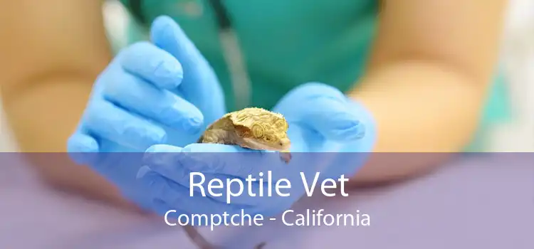 Reptile Vet Comptche - California