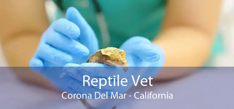 Reptile Vet Corona Del Mar - California