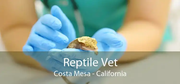 Reptile Vet Costa Mesa - California