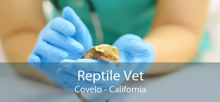 Reptile Vet Covelo - California