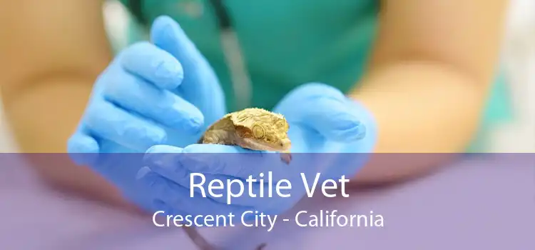 Reptile Vet Crescent City - California