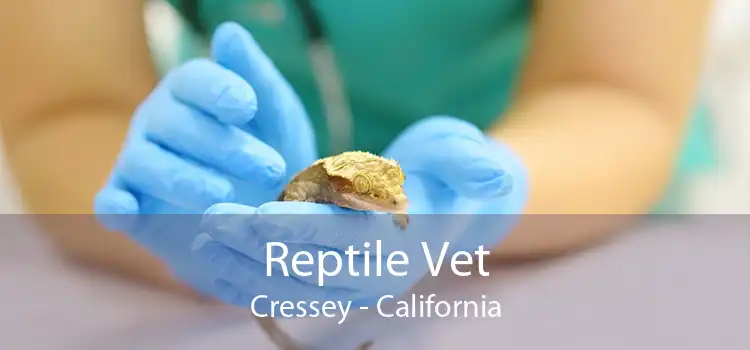 Reptile Vet Cressey - California