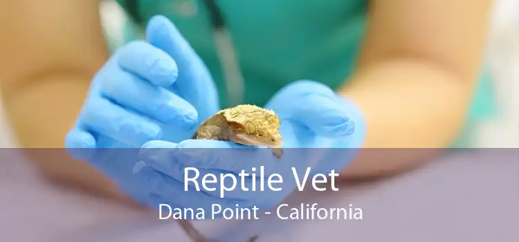 Reptile Vet Dana Point - California