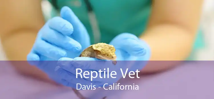 Reptile Vet Davis - California