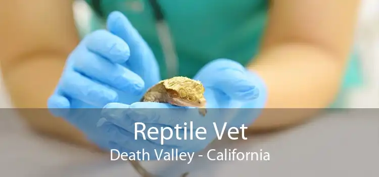 Reptile Vet Death Valley - California