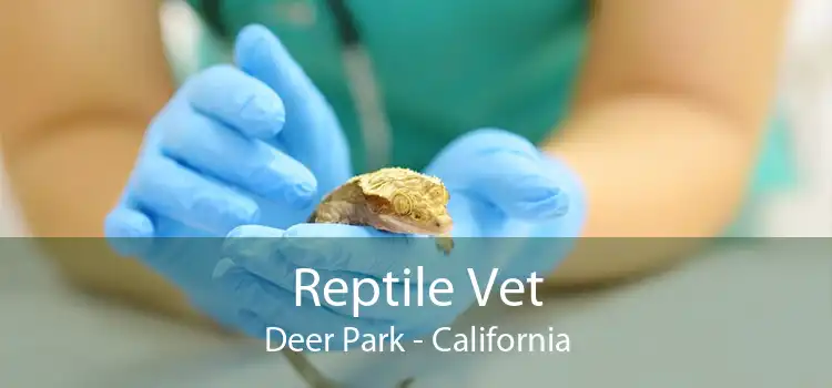 Reptile Vet Deer Park - California