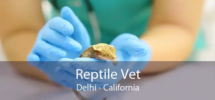 Reptile Vet Delhi - California