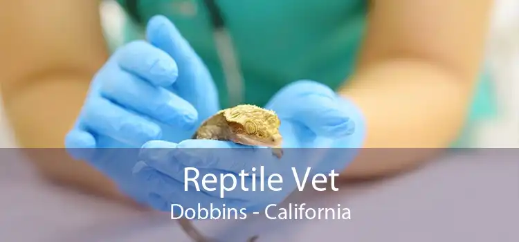 Reptile Vet Dobbins - California