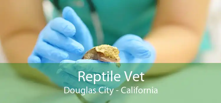 Reptile Vet Douglas City - California