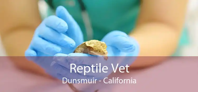 Reptile Vet Dunsmuir - California