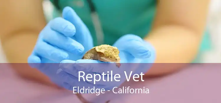 Reptile Vet Eldridge - California