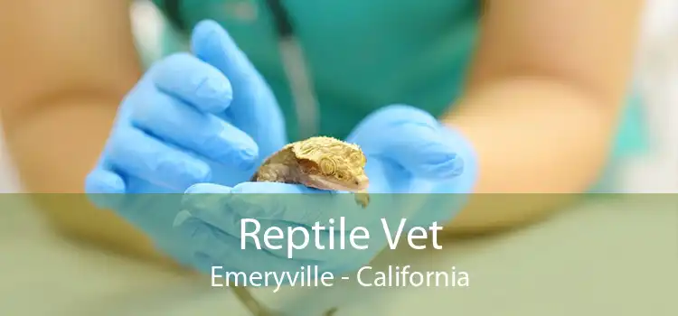 Reptile Vet Emeryville - California