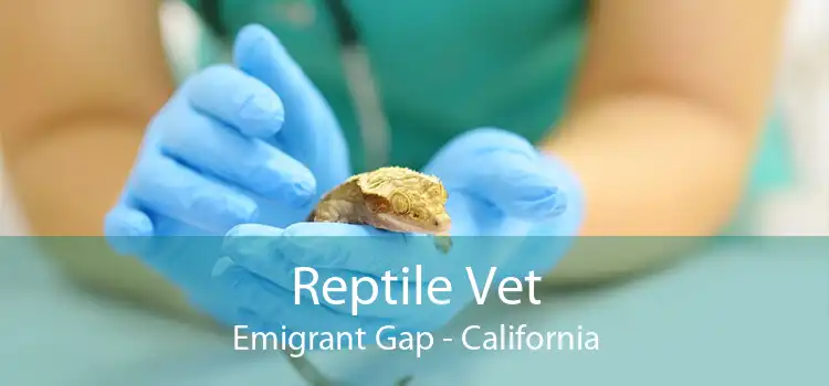 Reptile Vet Emigrant Gap - California