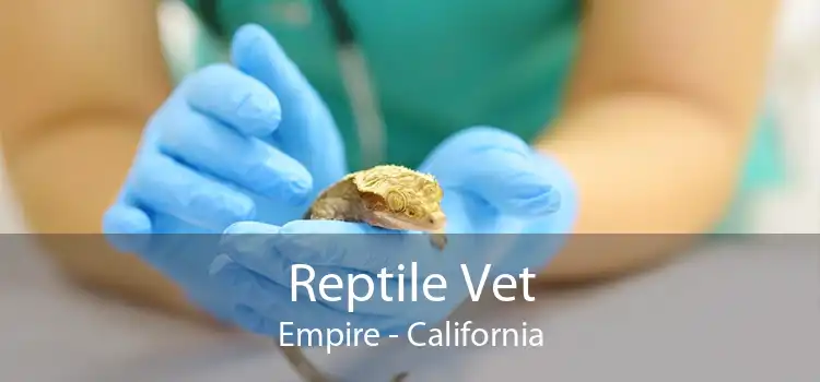 Reptile Vet Empire - California