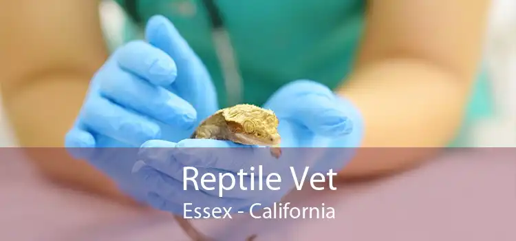 Reptile Vet Essex - California