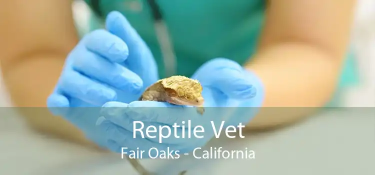 Reptile Vet Fair Oaks - California