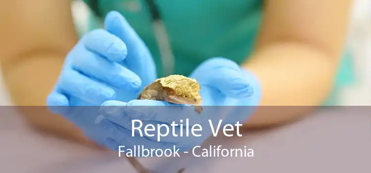 Reptile Vet Fallbrook - California