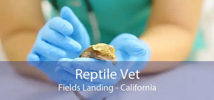 Reptile Vet Fields Landing - California