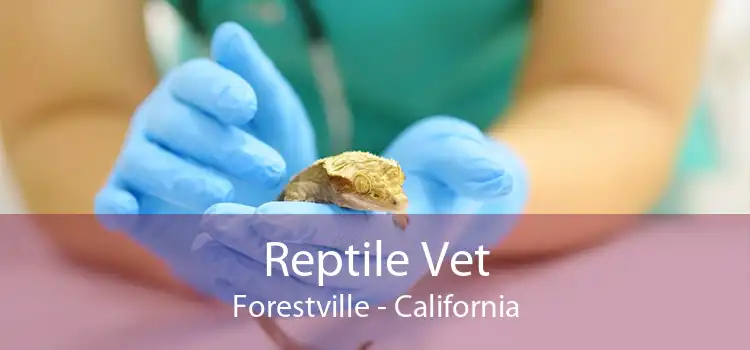 Reptile Vet Forestville - California