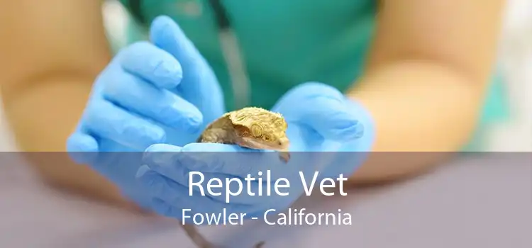 Reptile Vet Fowler - California