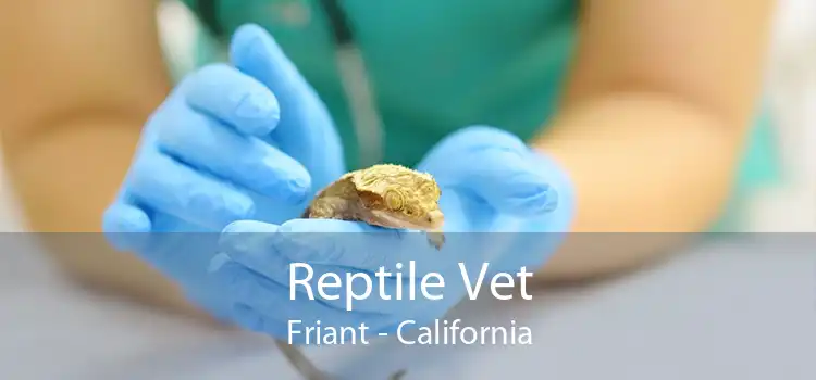 Reptile Vet Friant - California