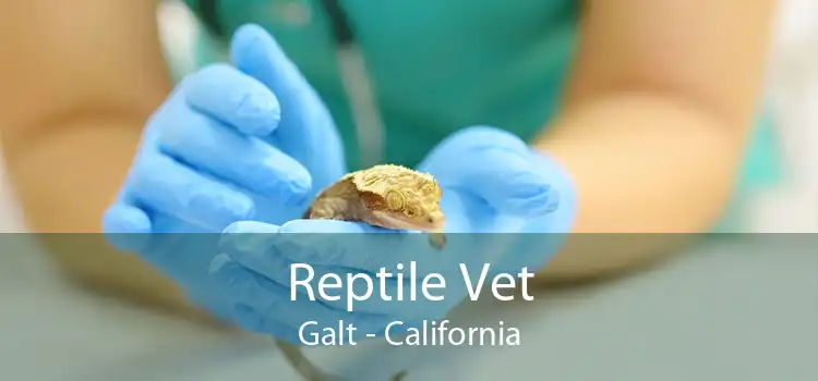 Reptile Vet Galt - California