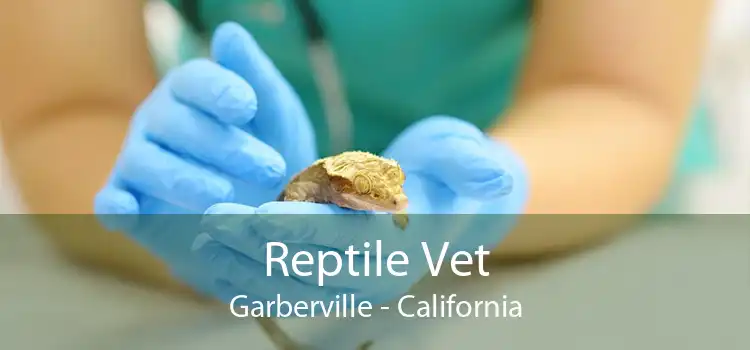 Reptile Vet Garberville - California