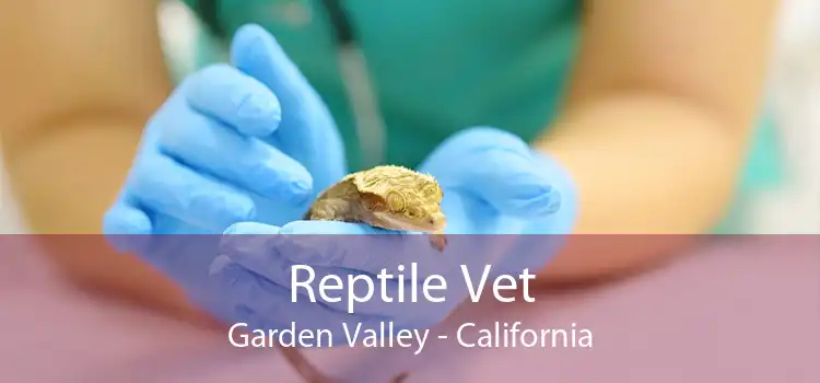 Reptile Vet Garden Valley - California